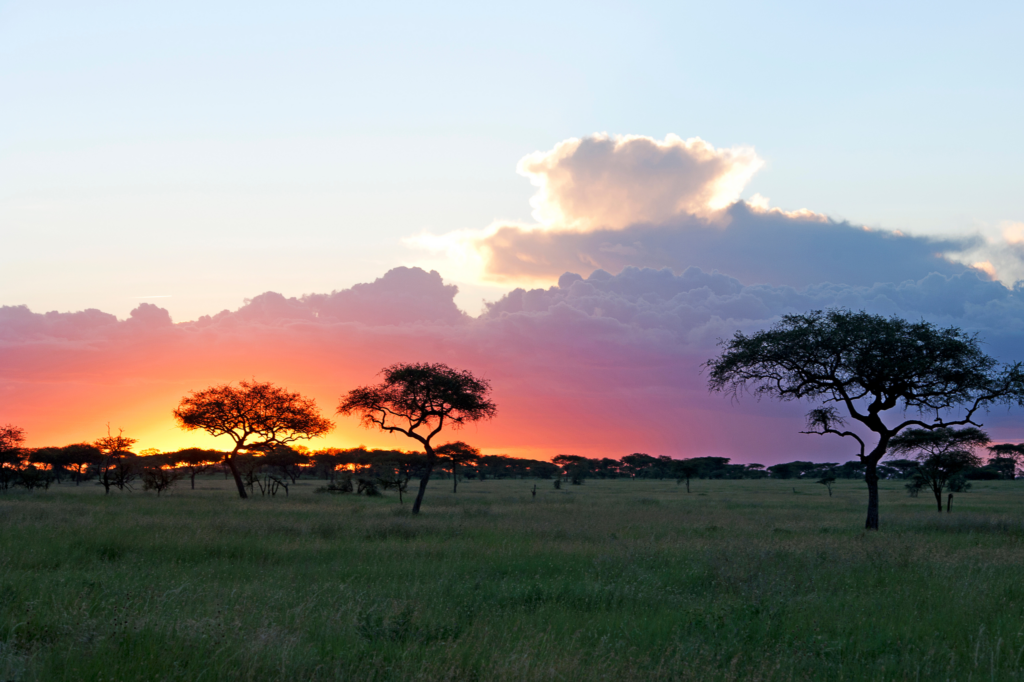 SerengetiTanzania