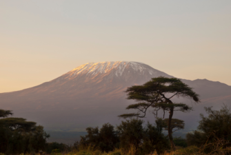 Kilimanjaro